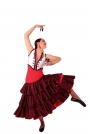 Dance Dress Bolero
