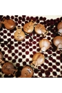 Castagnettes Entrefines Couleurs pour Semi-Professionnels