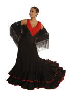 Flamenco Skirt and Trousers