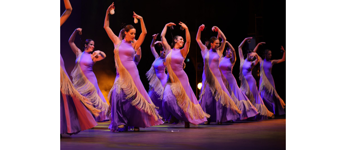 "Flamenco Internacional desde Sevilla"